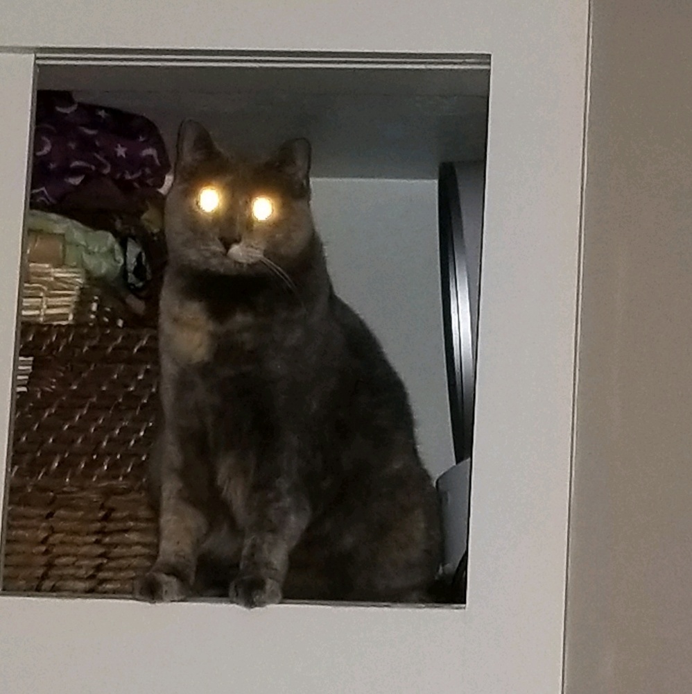 Meet your Posher, Sandra